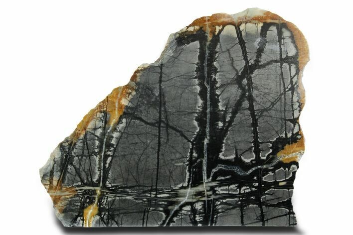 Free-Standing Polished Picasso Marble - Utah #362236